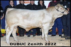 DUBUC Zenith 202Z